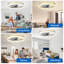 20" Gold Flush Mount Ceiling Fan with Light, Low Profile, App & Remote Control, 6-Speed Quiet DC Motor, Dimmable LED for Bedroom-295176455-295176451