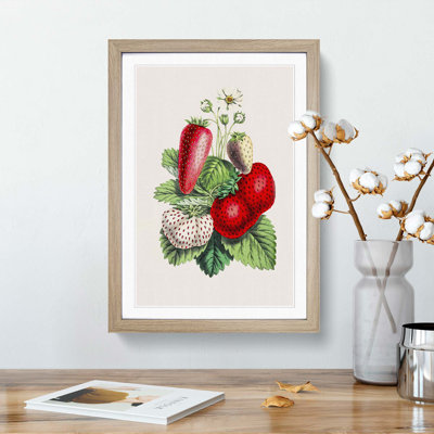 Wild Strawberry Illustration - Framed Print