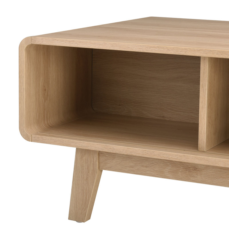 Table basse moderne avec rangement