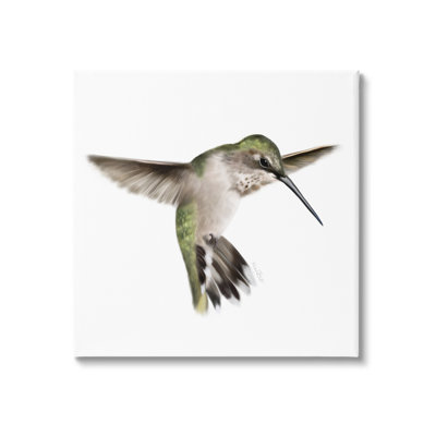 " Green Hummingbird Hovering Wings Flying Bird Beak " by Studio Q