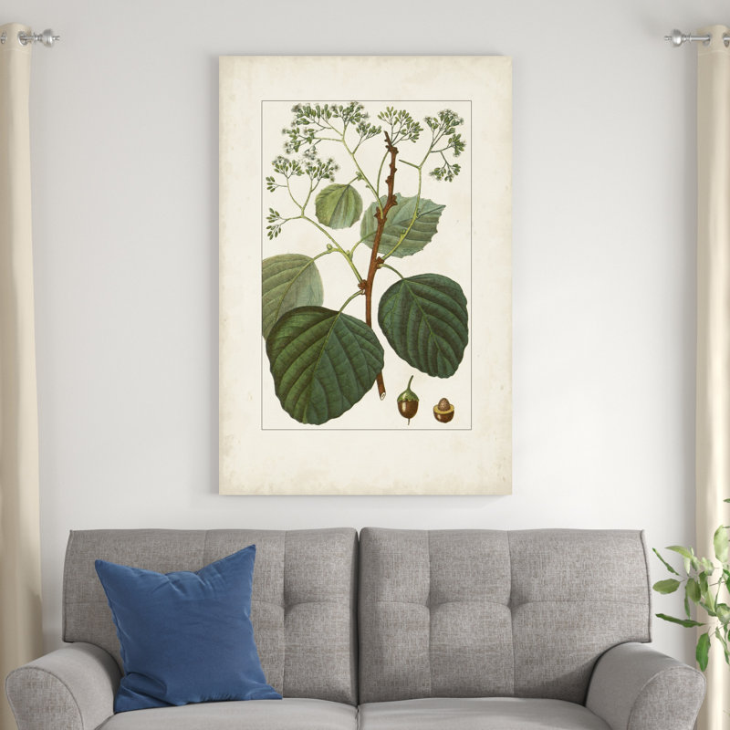 Antique Turpin Botanical IV, H 48 po x l 32 po
