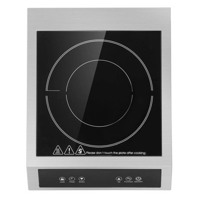 Plaque de cuisson à induction portable, brûleur de comptoir 1800 W, 9 réglages de température, acier inoxydable