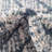 Rudy Indoor Rug-2013618344