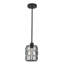 Luminaire suspendu 1 lumière