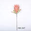 Protea Cynaroides, arrangement floral, longue tige-799844332