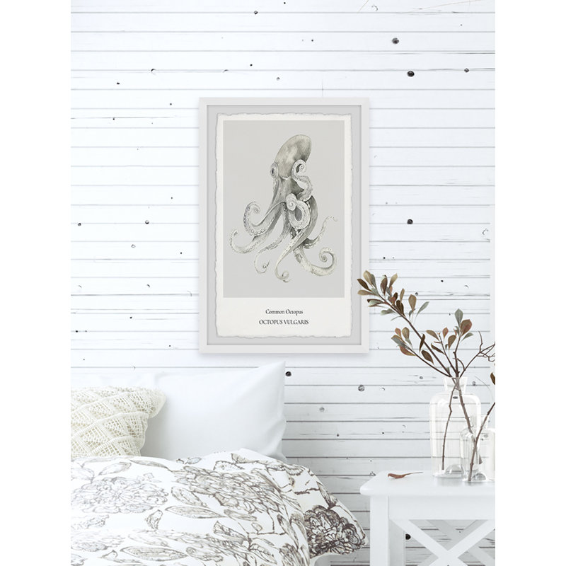 Octopus Vulgaris - Single Picture Frame Print, 45cm H x 38cm W x 3.81cm D