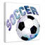 Fille de football 1-48188678-48188675