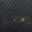 Pare-étincelles 35X39, motif floral, finition fer noir mat classique