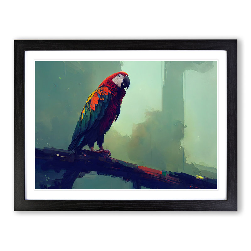 Macaw Parrot - Single Picture Frame Print, Black, 25cm H x 34cm W x 2cm D