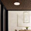 Cirque LED Outdoor Flush Mount-56359842