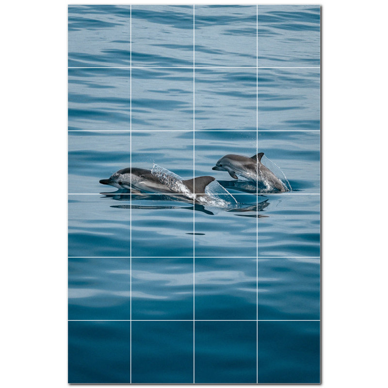 Dolphin Photo 6'' x 6'' Satin Ceramic Decorative Mural