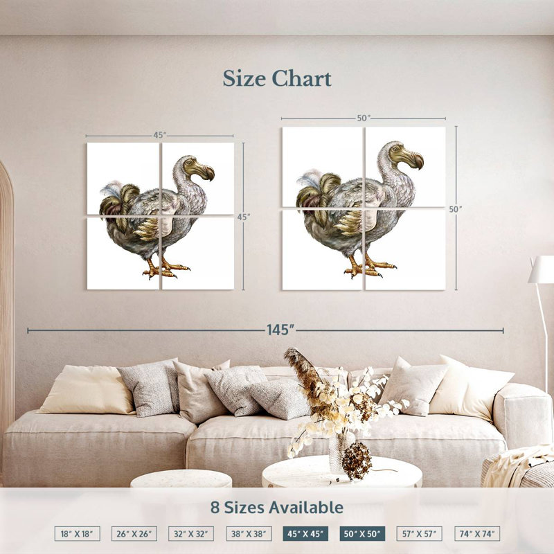 Brampt Dodo, 45" H x 45" W
