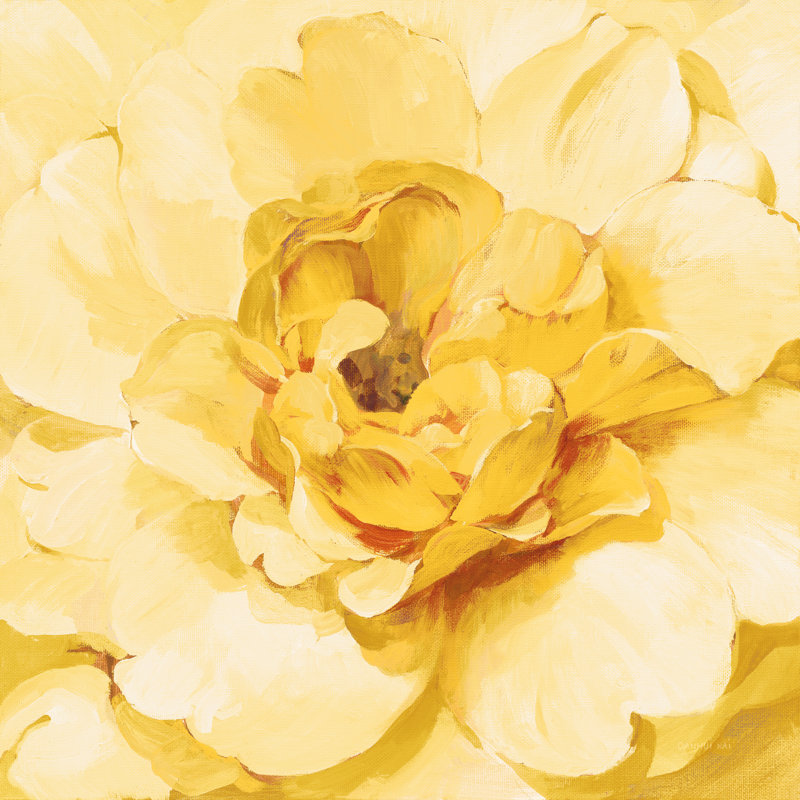 Pivoine jaune, H 20 po x l 20 po