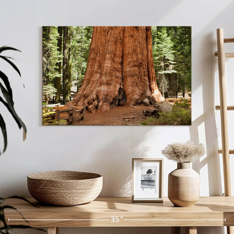 Harnek Ancient Sequoia Tree