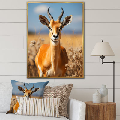 Armonnie " Graceful Antelope I "
