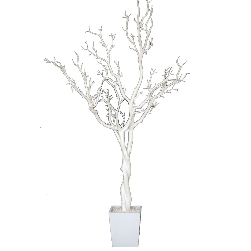 Plancher Manzanita en pot, Blanc, H 48 po x l 26 po x p 12 po