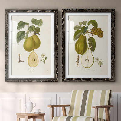 " Vintage Pears III " 2 Piece Art Print