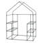 Ellisburg 2.4 Ft W x 4.7 Ft D Mini Greenhouse-201181687