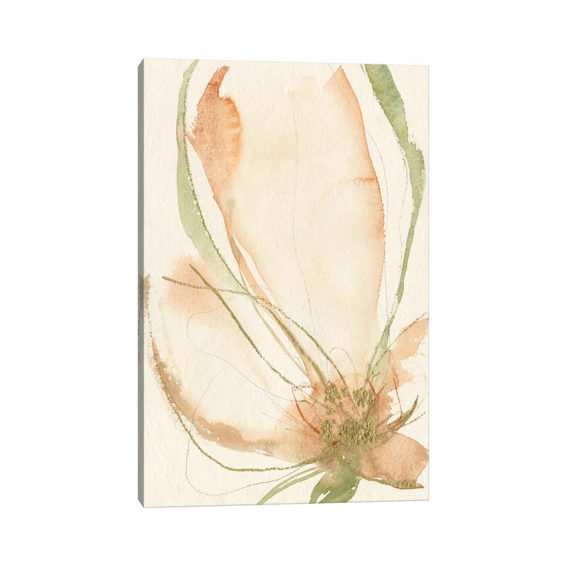 Petal Sketches I by Jennifer Goldberger - Wrapped Canvas Painting, 20.32 cm H x 30.48 cm W