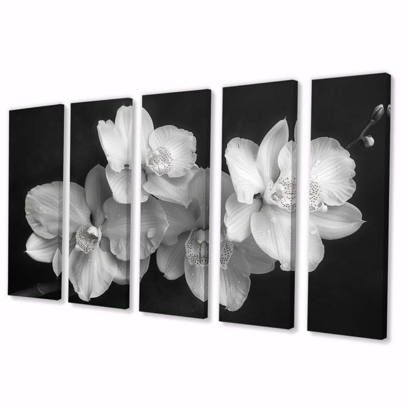 «Botanical Magic Black and Orchids Photo II», ensemble d'art mural sur toile Orchidées, H 32 po x l 80 po