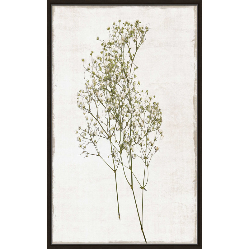 Farmhouse Pressed Flower I - Peinture, L 21,5 po x H 33,5 po, Encadrement brun