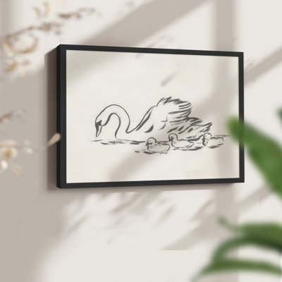 Esquisse de cygne IV - reproduction encadrée