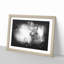 Highland Cow - Picture Frame Graphic Art Print-56863427-56863428
