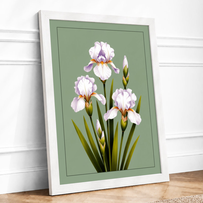 Ruffled Iris Study Botanical - Framed Print, A4 - 29.7 x 21.0 cm, White