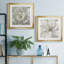 Pivoine parfaite - ensemble de 2 cadres photo sur papier-20129226-20129236-20129237