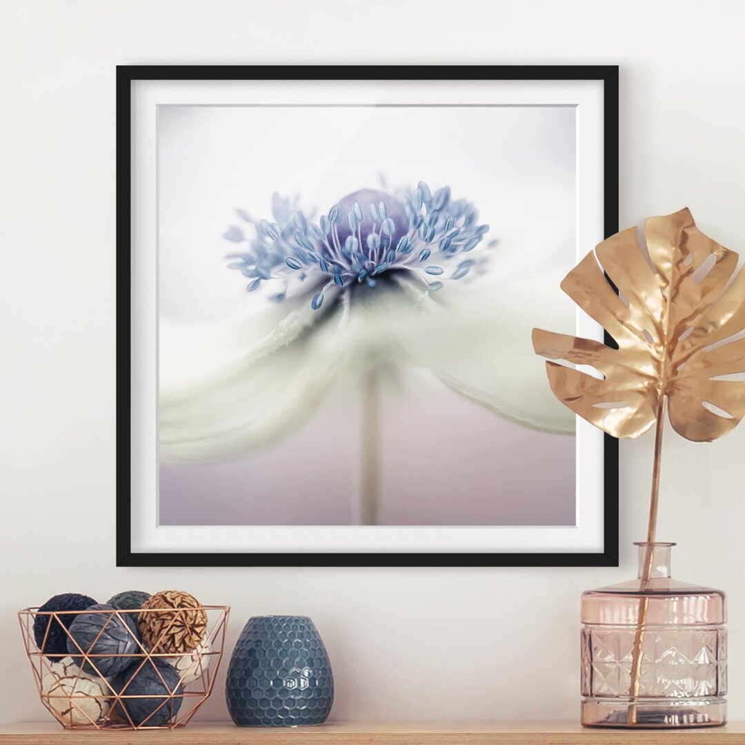 Gerahmtes Papierbild Anemone in Violett