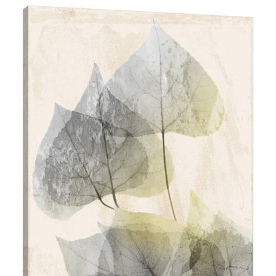 Golden Flaked - Wrapped Canvas Print