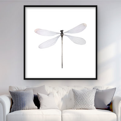 Libellule minimaliste - insecte gris