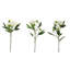 Artificial Cream Peony Stems