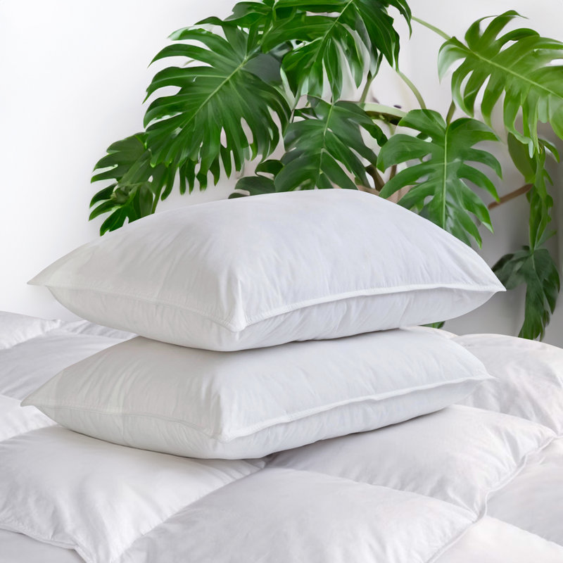 Oreiller en duvet de canard 600, Queen