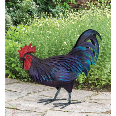 Statue de jardin en métal Shetland Rooster avec textures de plumes détaillées et finition peinte à la main résistante aux intempéries