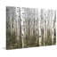 « aspen highlands » par parvez taj,, reproduction de photo sur toile tendue-1847652531