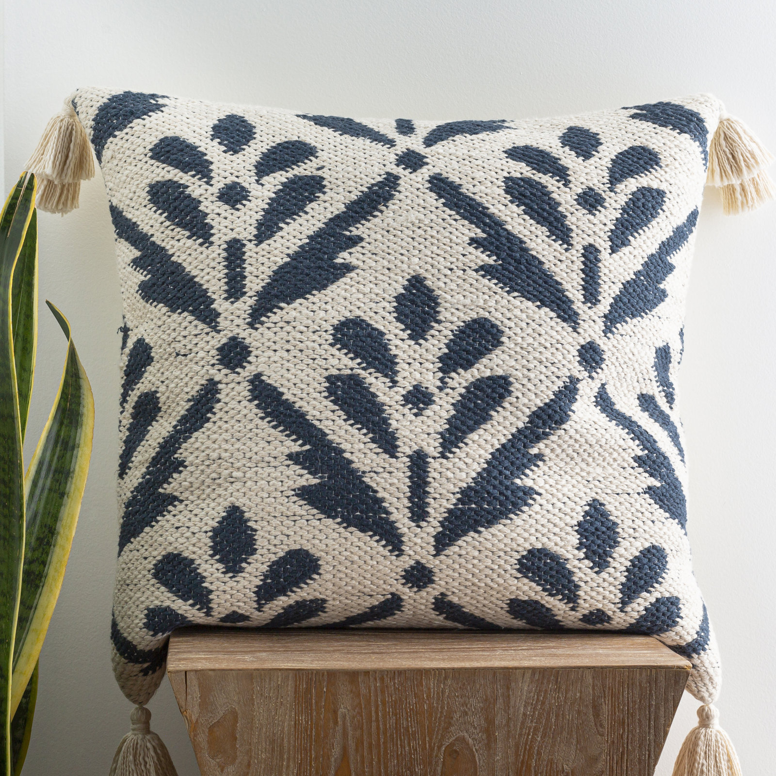 Bova Tassels Cotton Pillow Cover, 22" x 22"