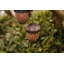 Jody Metal Hanging Decorative Bird Feeder