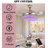 Zahnya 42'' Ceiling Fan with LED Lights-684725925