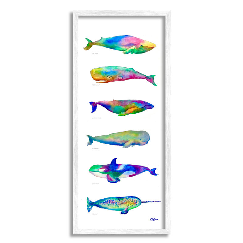 «Bale Kaleidoscopic Whale Narwhal Types Sea Life» par MB Cunningham - impression, H 30 po x l 13 po x P 1,5 po
