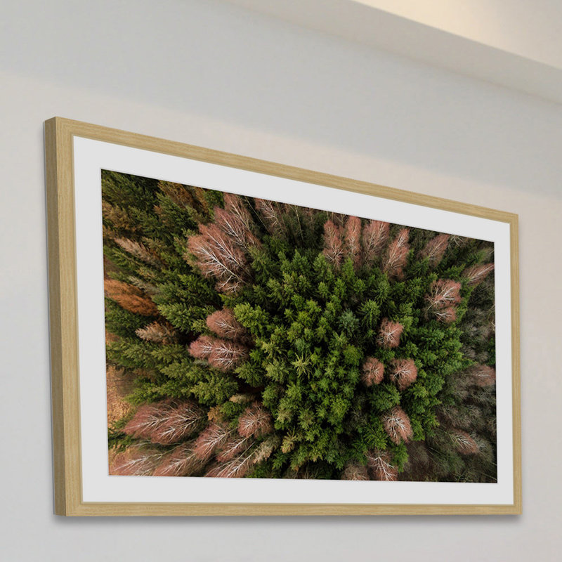 Karolis Janulis - Single Picture Frame Print, 41 cm H x 61 cm W x 3.81 cm D