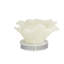 Cole And Grey Polystone Small Textured Coral Sculpture With Clear Acrylic Base