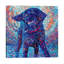 Canines & Colour by Iris Scott - Wrapped Canvas Print-34180815