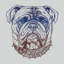 « bouledogue de petits pouces », impression sur toile-21467847-74574387-74574420