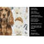 Serviette de cuisine Coffee Bar-1234933834