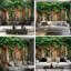 Papier peint adhésif pelez et collez, clôture en bois, vignes vertes, jardin rustique, art mural-293145016-293145020