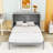 Wood Murphy Bed with Drawers-670830886-670830887
