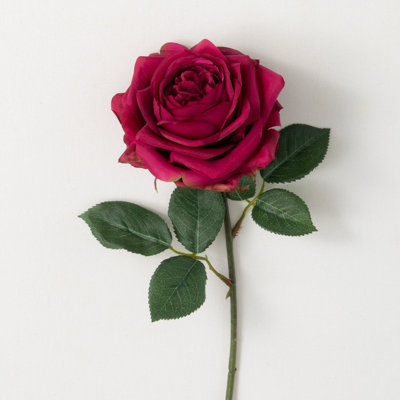Rose bourgogne brillant de 15 po; bourgogne