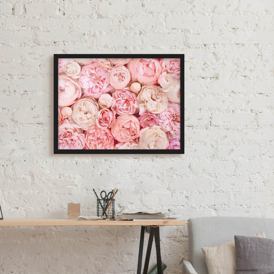 Gerahmter Grafikdruck Roses Coral Shabby