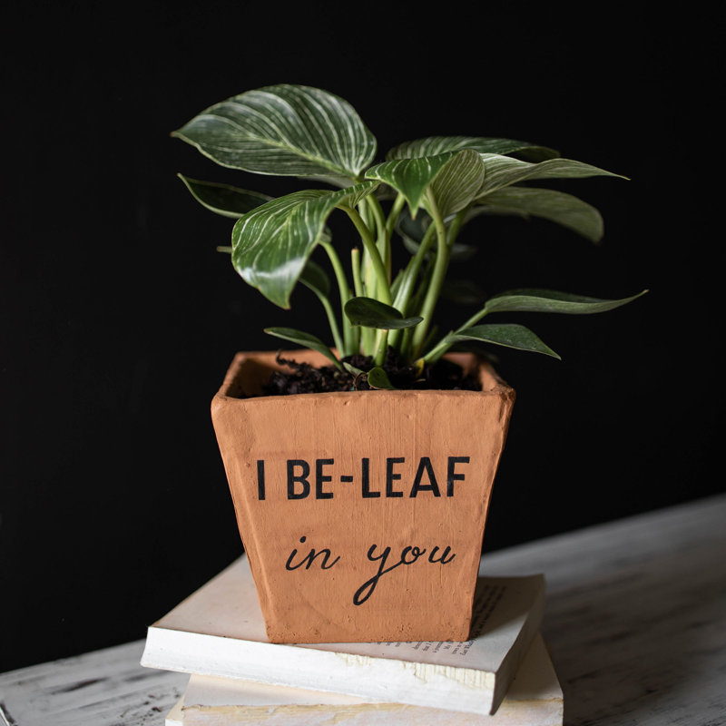 Denena Pot Planter